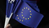 EU flags